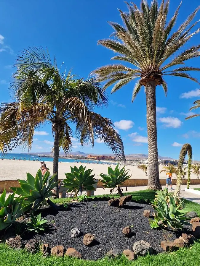 Apartament Caleta Caleta De Fuste Spagna