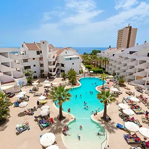 Paloma , Los Cristianos (Tenerife) Spain